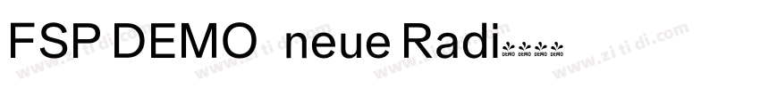 FSP DEMO   neue Radi字体转换